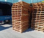 Cung cấp Pallet gỗ giá rẻ tại Nghệ An, Hà Tĩnh