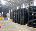 Thanh lý Pallet nhựa cũ chỉ từ 99k