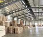 Pallet Ván Ép Cho Công Ty Điện Tử – Giải Pháp Tối Ưu Cho Nhà Máy FDI Tại Nghệ An