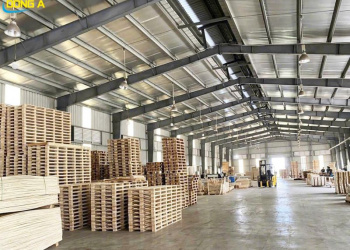 Pallet Ván Ép Cho Công Ty Điện Tử – Giải Pháp Tối Ưu Cho Nhà Máy FDI Tại Nghệ An